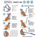 No-Pull Dog Harness product image 7