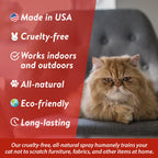 Cat Training Spray product image 2