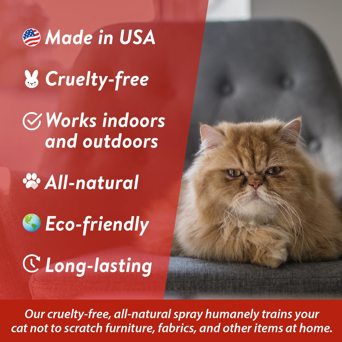 Cat Training Spray product image 2