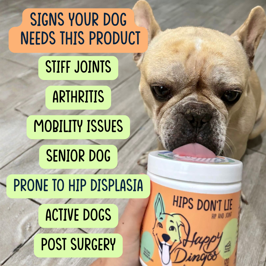 Dog Joint Supplement product image 2