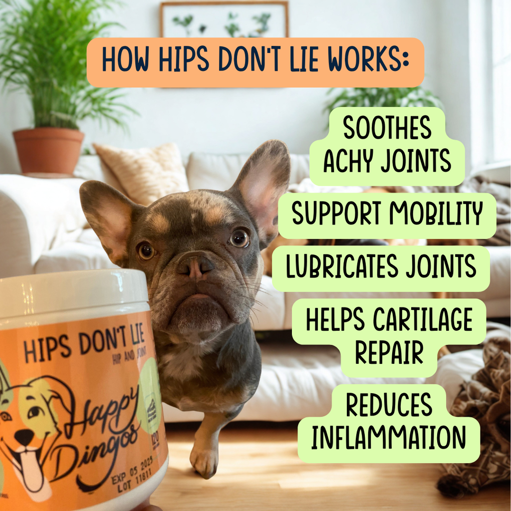 Dog Joint Supplement product image 3