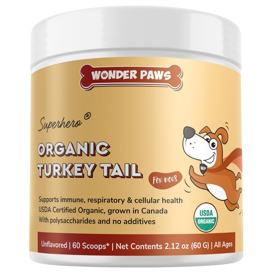 Turkey Tail Powder product image 1