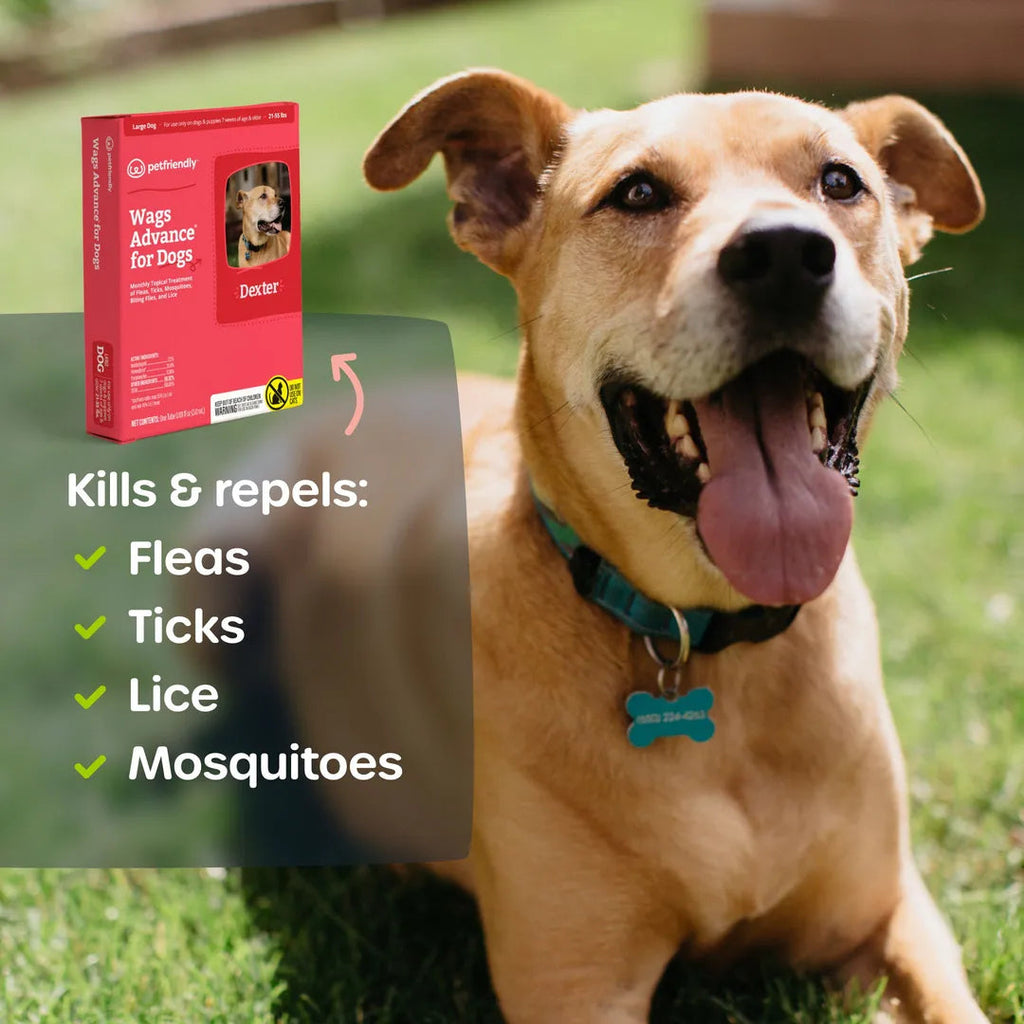 Topical Dog Flea and Tick Spot Treatment product image 2
