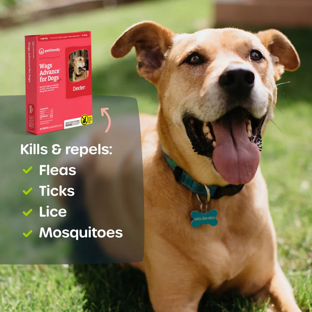 Topical Dog Flea and Tick Spot Treatment product image 2