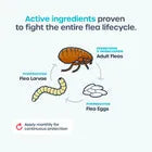 Topical Dog Flea and Tick Spot Treatment product image 3