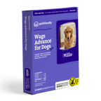 Wags Advance® for Dogs - Extra Large