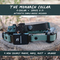 E-Collar Compatible Dog Collar product image 1
