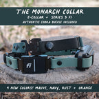 E-Collar Compatible Dog Collar product image 1