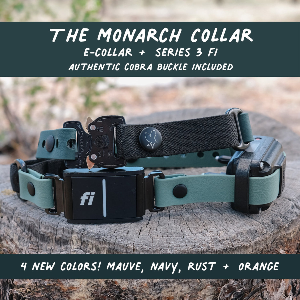 E-Collar Compatible Dog Collar product image 1