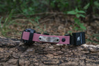 E-Collar Compatible Dog Collar product image 5