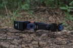 E-Collar Compatible Dog Collar product image 7