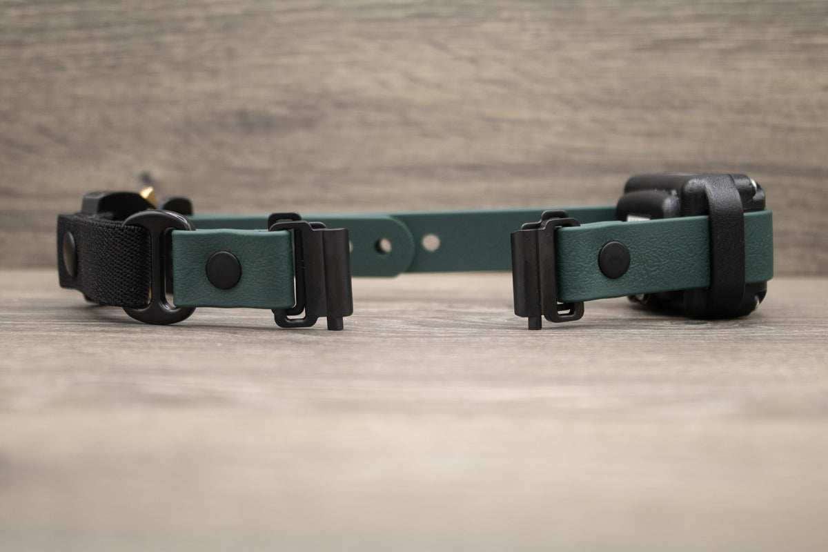 E-Collar Compatible Dog Collar product image 9