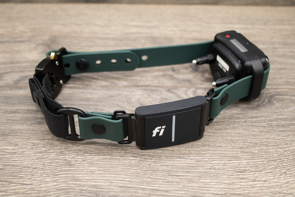 E-Collar Compatible Dog Collar product image 10