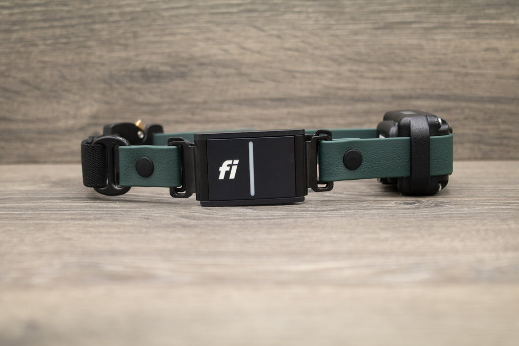 E-Collar Compatible Dog Collar product image 11