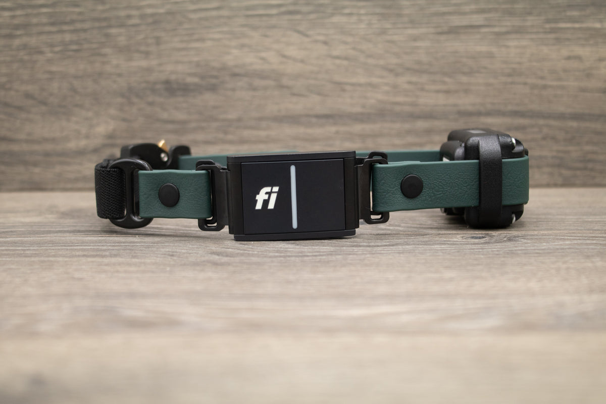 E-Collar Compatible Dog Collar product image 11