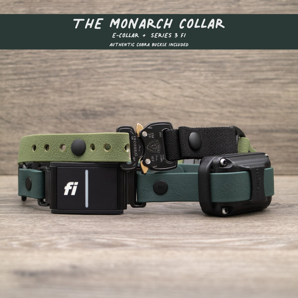 E-Collar Compatible Dog Collar product image 12