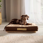 Orthopedic Pet Bed product image 1