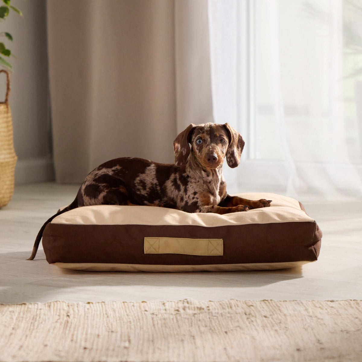 Orthopedic Pet Bed product image 1