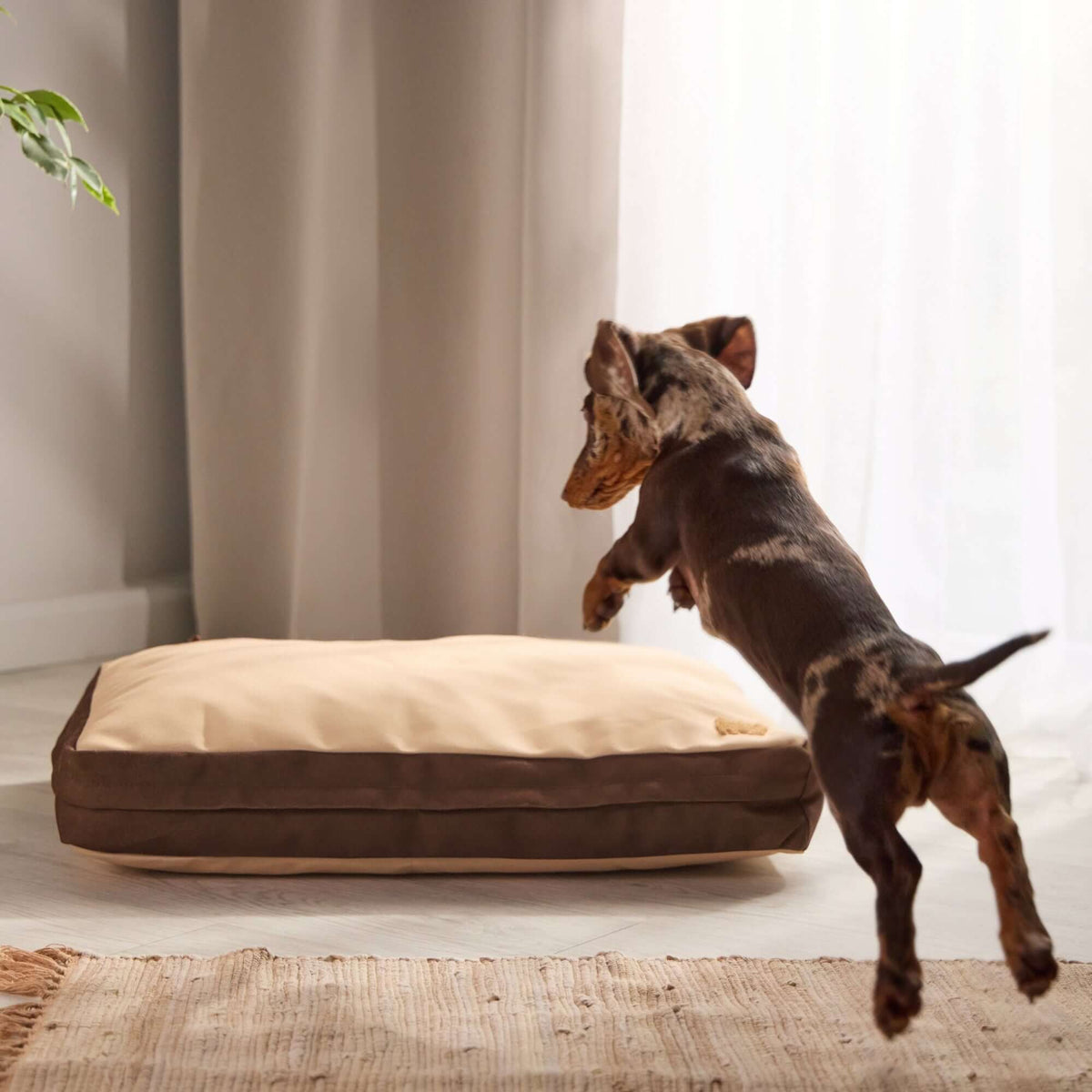 Orthopedic Pet Bed product image 2