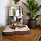 Orthopedic Pet Bed product image 3