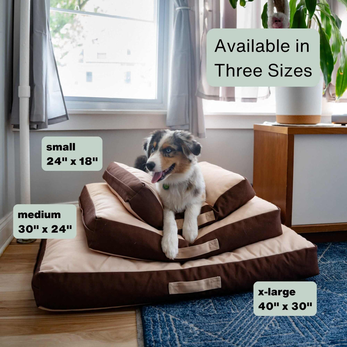 Orthopedic Pet Bed product image 11