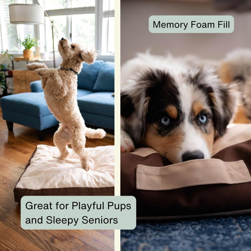 Orthopedic Pet Bed product image 13