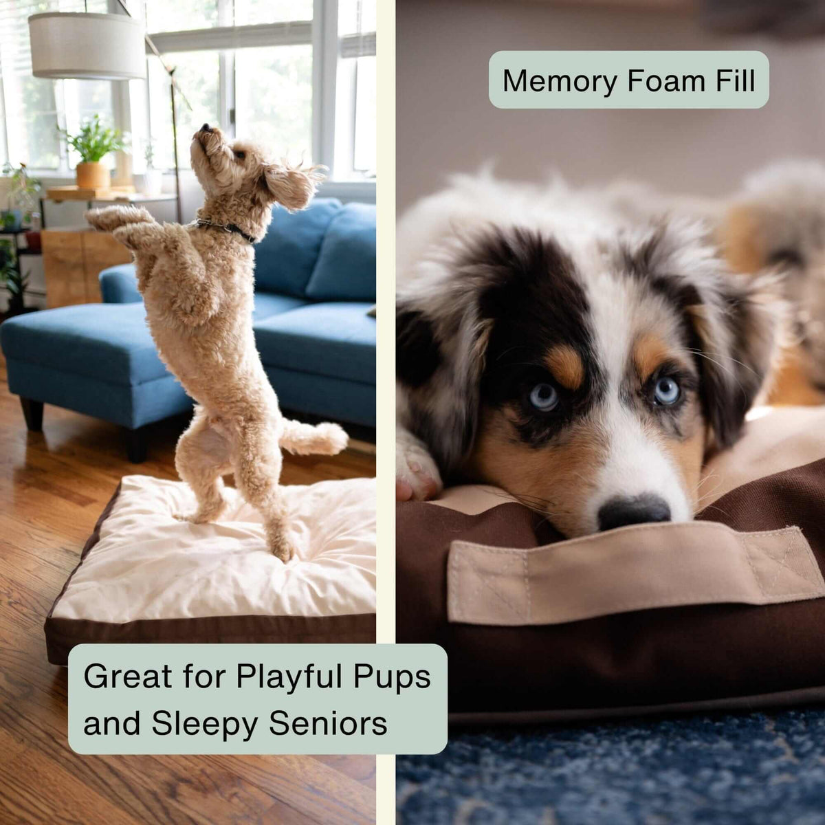 Orthopedic Pet Bed product image 13