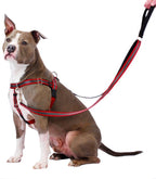 Dog Harness product image 6