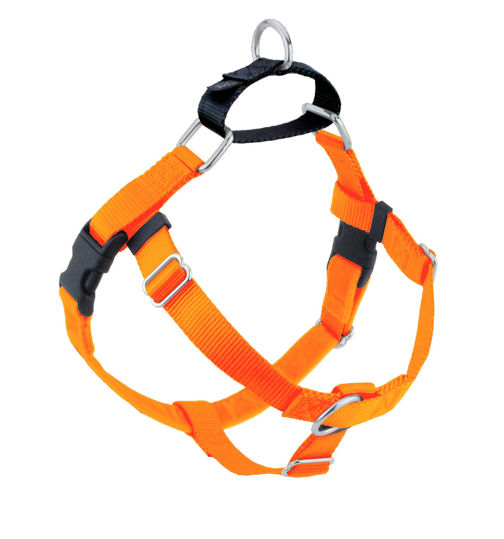 Dog Harness product image 1