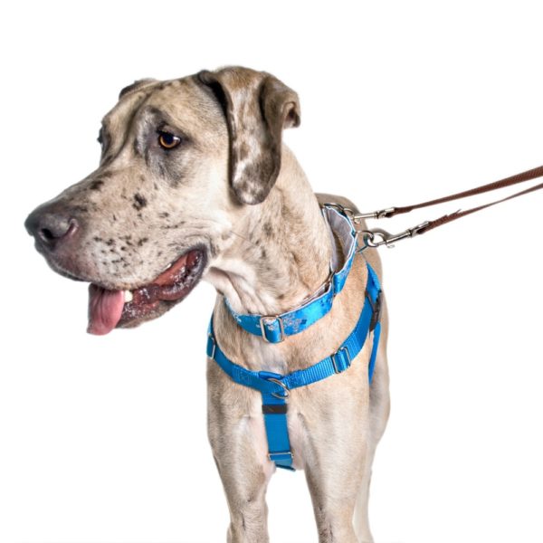 No-Pull Dog Harness product image 8