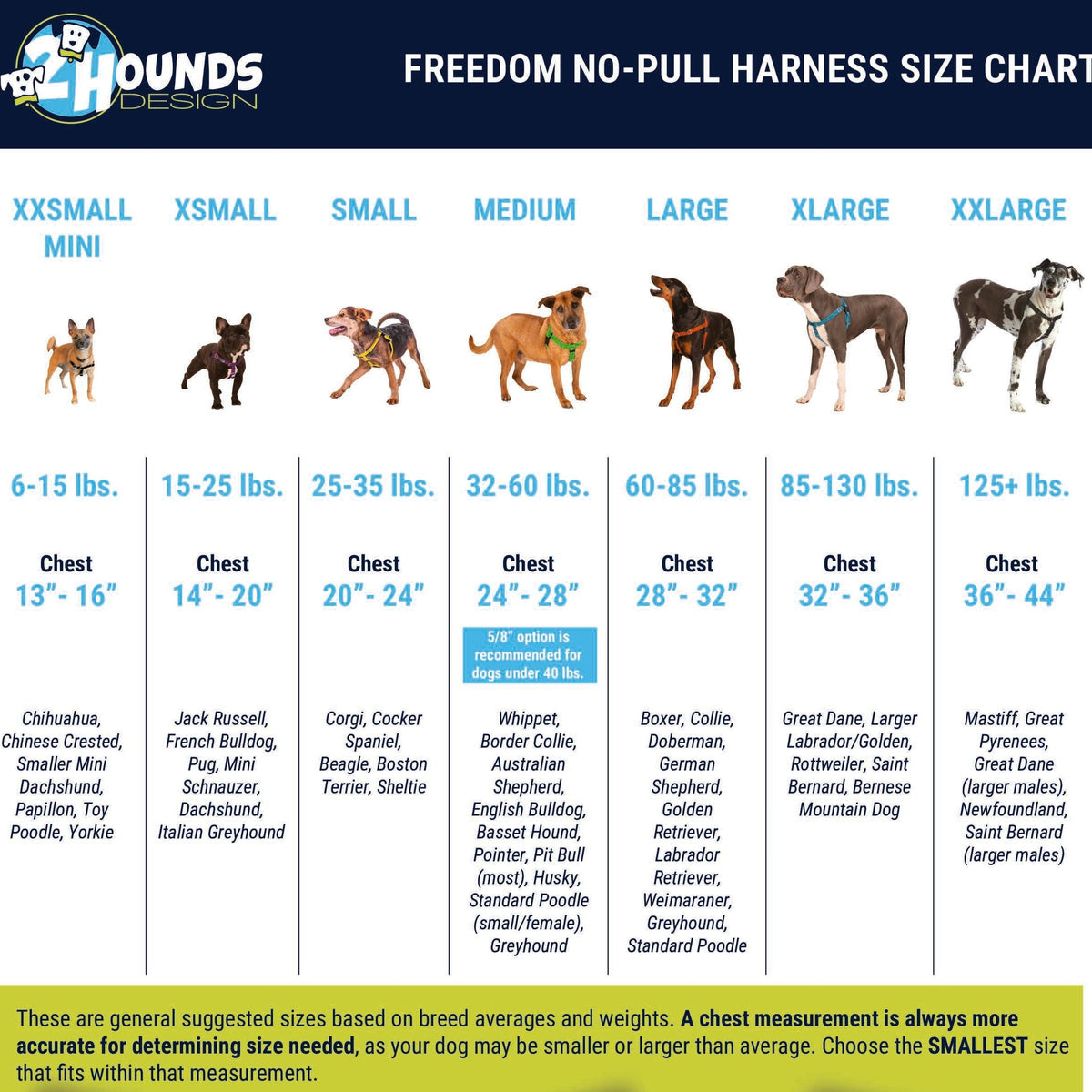 FNPH Size Chart for Hrn Listings