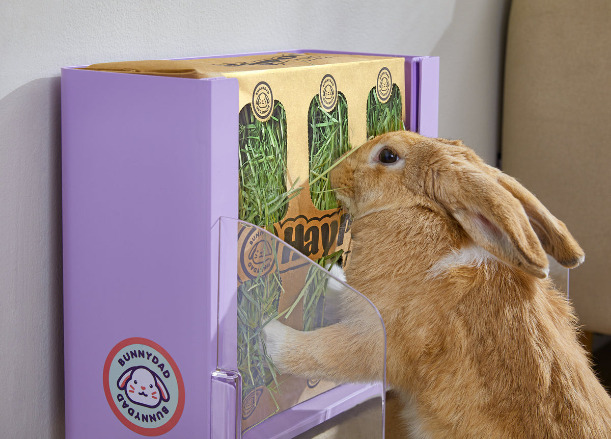 Rabbit Litter Box product image 5