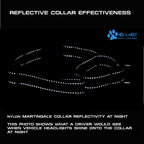 Martingale Dog Collar product image 12