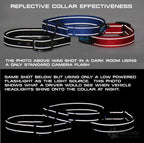 Reflective Martingale Dog Collar product image 8