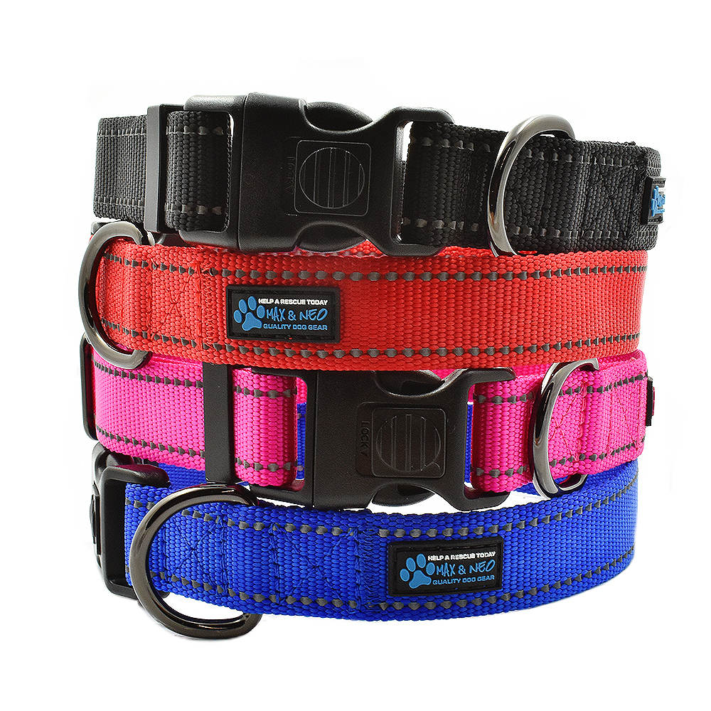 Dog Collar product image 1