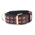 Dog Collar product image 1