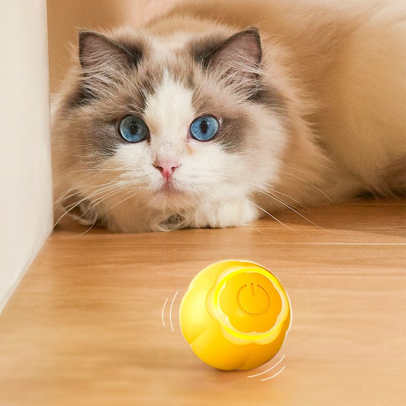 Interactive Cat Toy product image 2