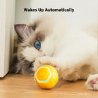 Interactive Cat Toy product image 3