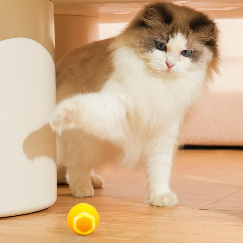 Interactive Cat Toy product image 7