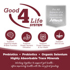 Wet Dog Food product image 2
