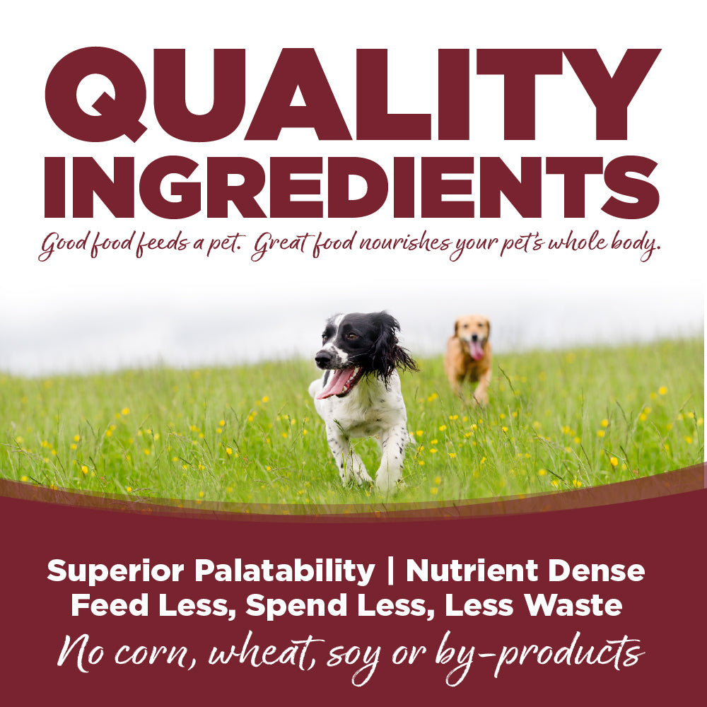 Wet Dog Food product image 3