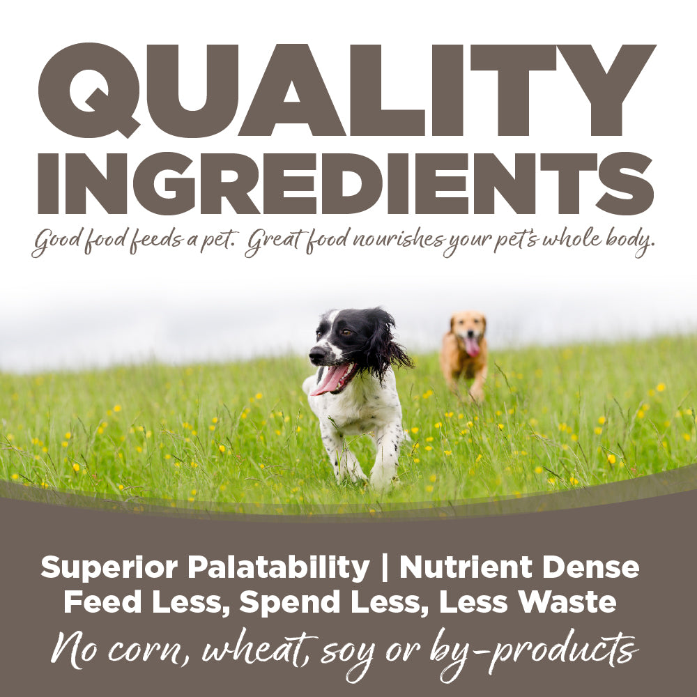 Senior Dog Food product image 3