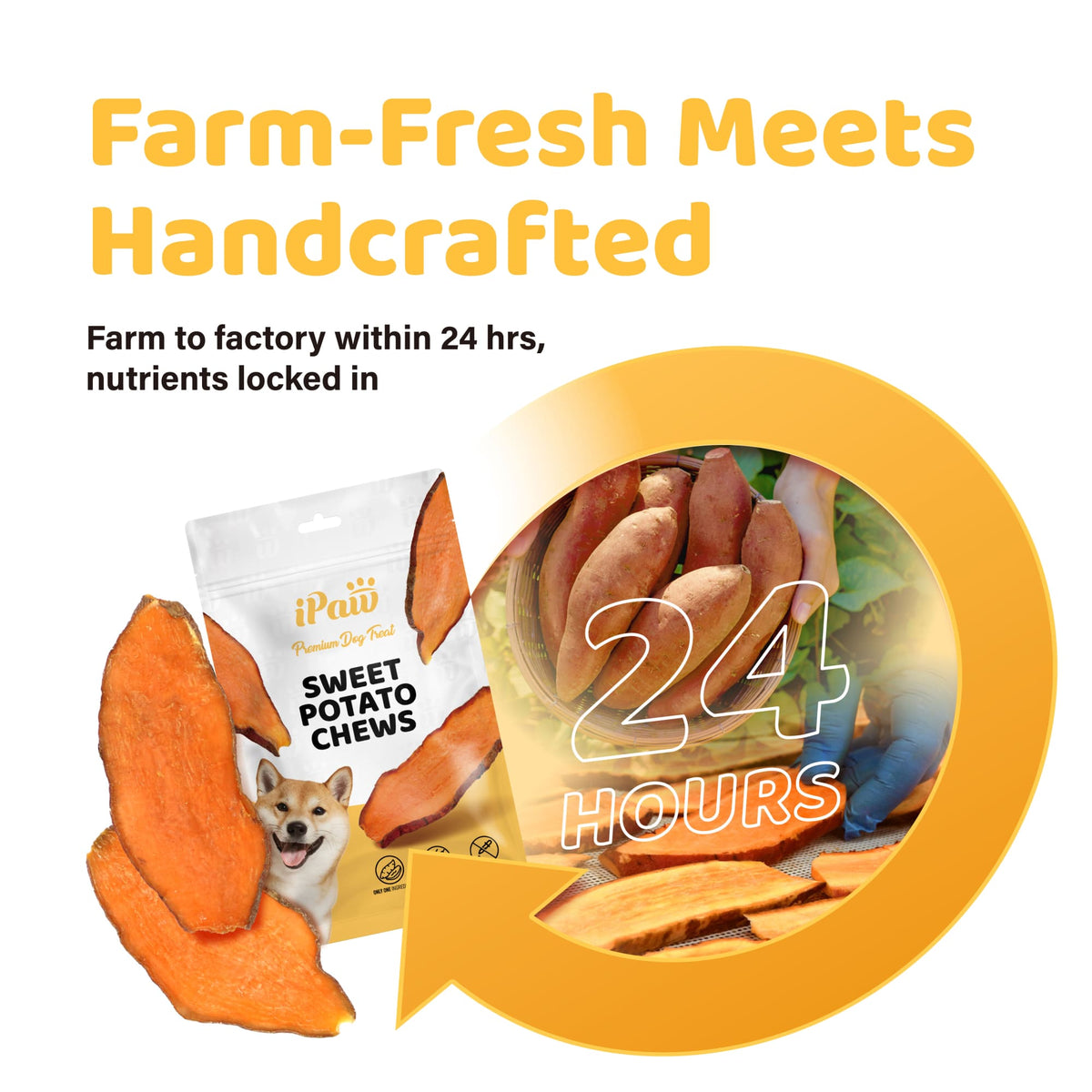 Dog Chews product image 3