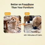 Dog Enrichment Ball product image 3