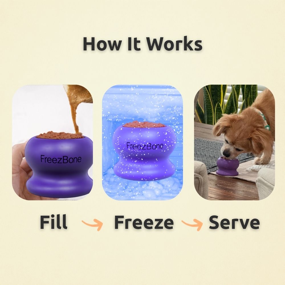 Dog Enrichment Ball product image 4