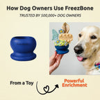 Dog Enrichment Ball product image 7