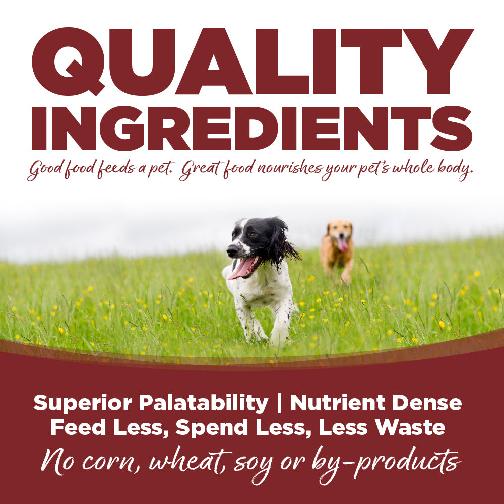 Wet Dog Food product image 3