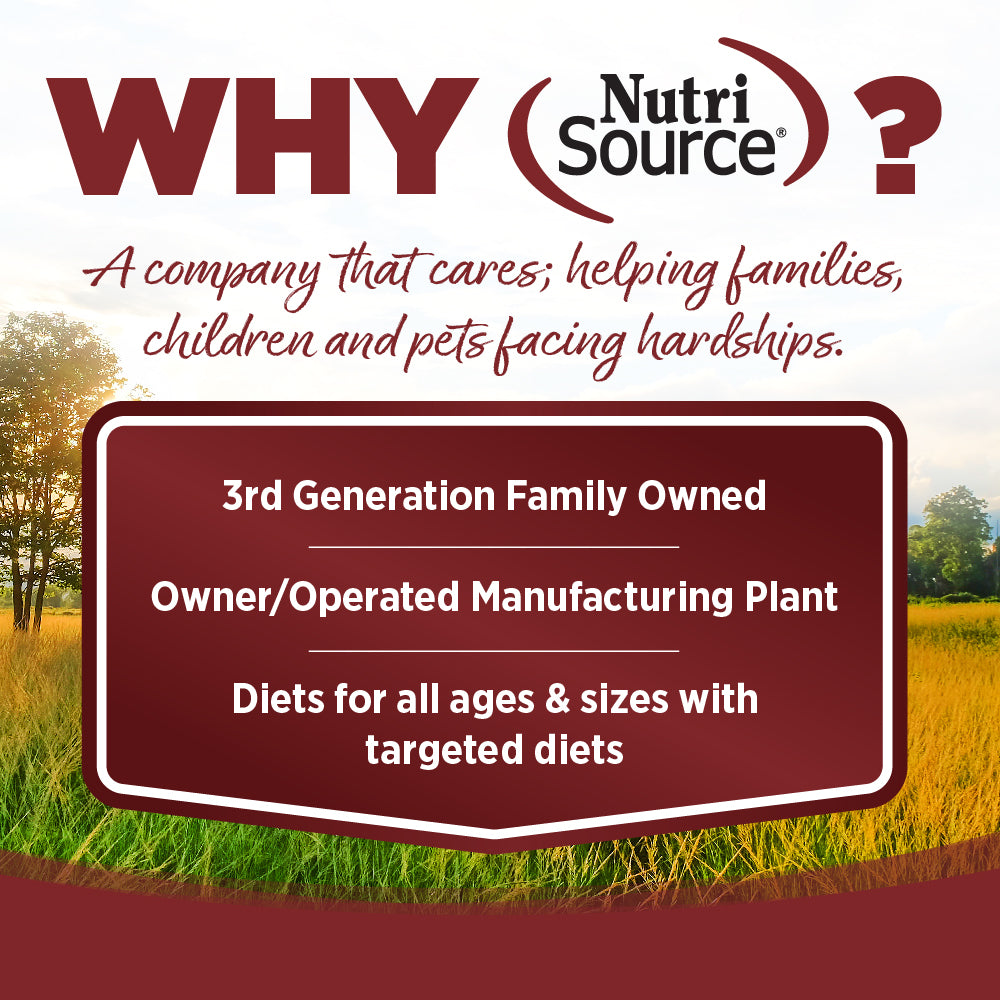 Wet Dog Food product image 6