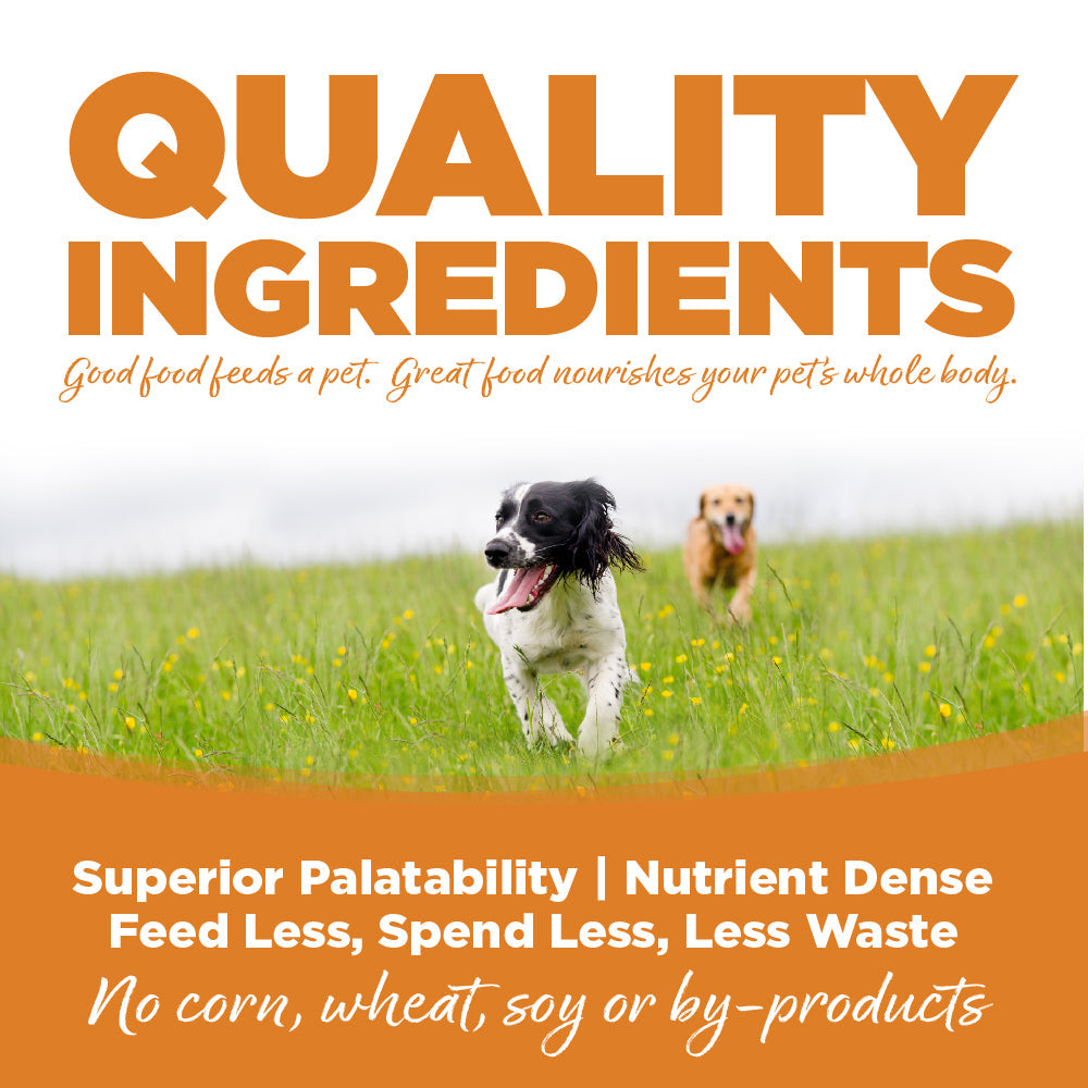 Wet Dog Food product image 3