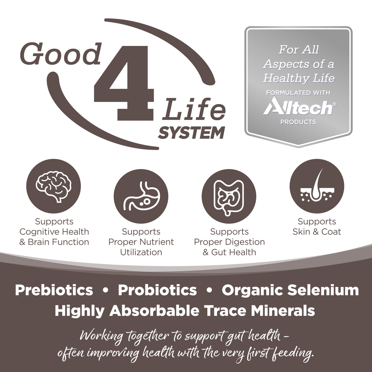 Wet Dog Food product image 2